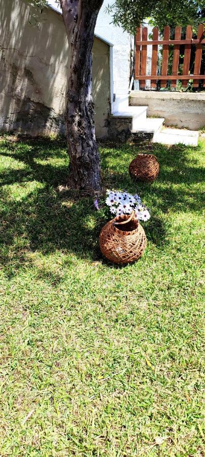 Villa Βianca In Sithonia Jerakiní Kültér fotó